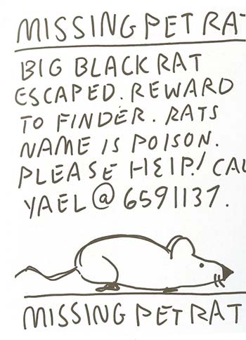 Lost Rat